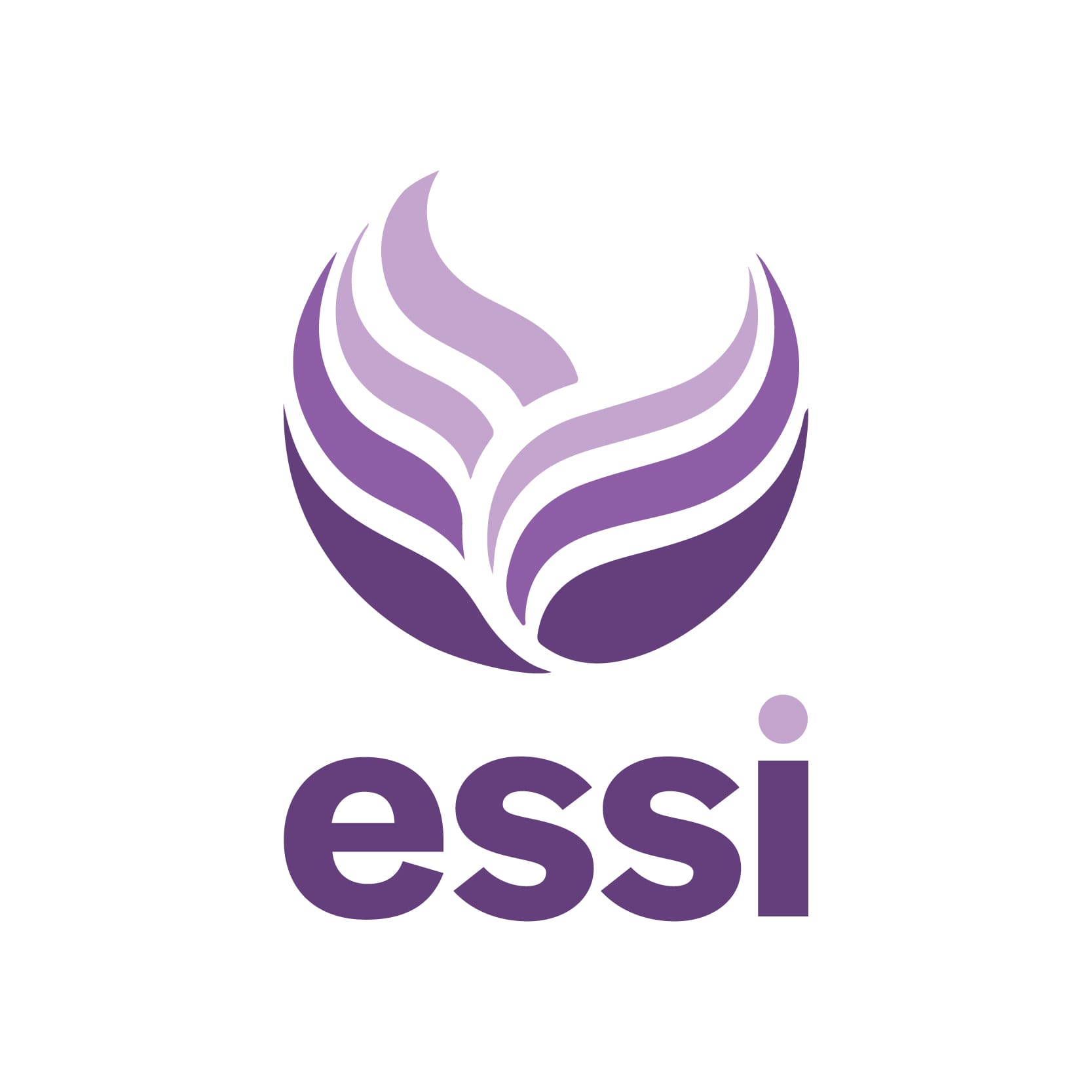 Essi Image Home - ESSI
